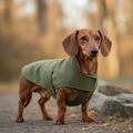 Sausage dog wearing personalized coat